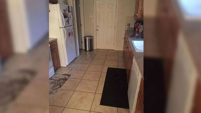 Nadie puede encontrar al perrito que está escondido en esta foto