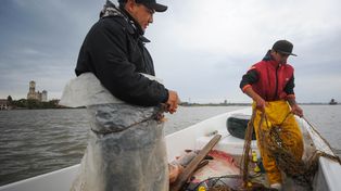 Asistencia extraordinaria de $16 mil mensuales a pescadores santafesinos por la bajante del Paraná.
