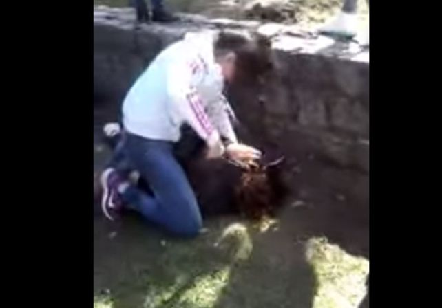 Brutal pelea entre chicas en el Jardín Botánico de Santa Fe