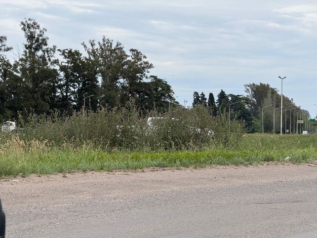 Leticia Di Gregorio volvió a reclamar por el abandono de las rutas nacionales del departamento General López