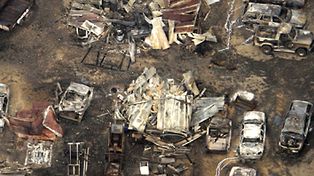 M&aacute;s de cien v&iacute;ctimas fatales por los incendios de bosques en Australia