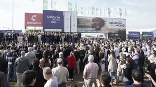 Con la presencia del secretario de Agricultura de la Nación y el gobernador de Santa Fe se realizó la inauguración oficial de Agroactiva.