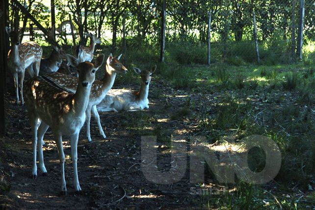 En las redes sociales piden cerrar la Granja La Esmeralda