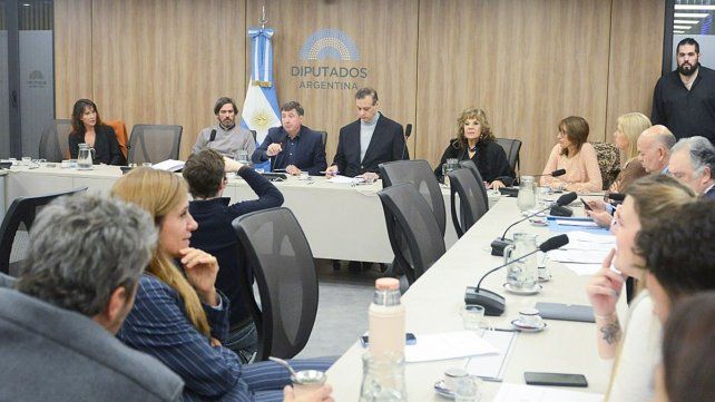 La oposición ya pidió una sesión para debatir sobre la emergencia nacional en discapacidad