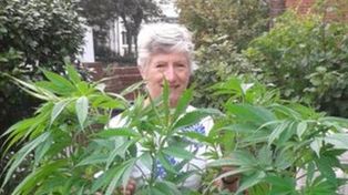 Yo tuve la mejor flor: una anciana descubre una planta de marihuana en su jardín