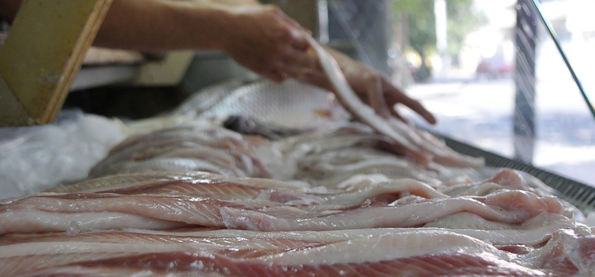 Pescaderías premium: el nuevo concepto que está conquistando el mercado 