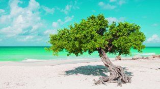 Eagle Beach, la postal más icónica del Caribe