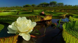Parque Nacional Islas de Santa Fe. “El entorno es muy propicio para que tomemos conciencia de que debemos cuidar el planeta”.