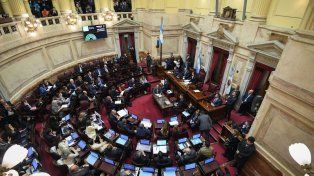 Senadores buscan rechazar el veto presidencial a la emergencia en discapacidad y restringir los DNU