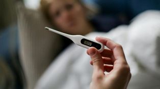Alerta dengue. Si la fiebre persiste hay que llamar al médico o ir a una guardia.&nbsp;