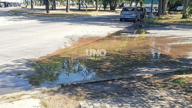 Barrio Candioti Sur. Vecinos en alerta por una pérdida de agua que lleva meses.&nbsp;