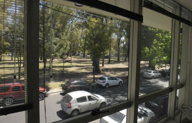 Desde un consultorio se ve el área del parque donde pretende ampliarse GER.