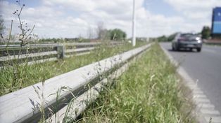 El municipio salió a limpiar zanjas de Circunvalación, pero siguen los yuyos en banquina