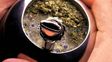 La crisis de la yerba mate afecta a 50 mil familias de Misiones y ya dejó pérdidas por más de $80 mil millones
