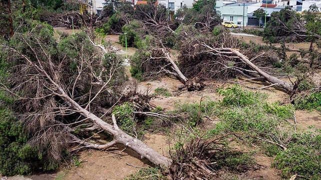 Expertos de Conicet analizaron el fenómeno del clima sufrido el fin de semana en Amba