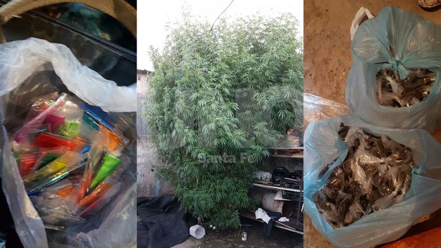 Cayó una banda de delincuentes con armas y balas de guerra, drogas, chaleco antibalas y 30 mil pesos