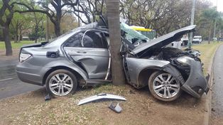 Terrible accidente: quedó incrustado en una palmera