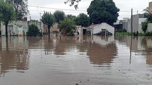Viale alerta que no organiza colecta para ayudar a inundados