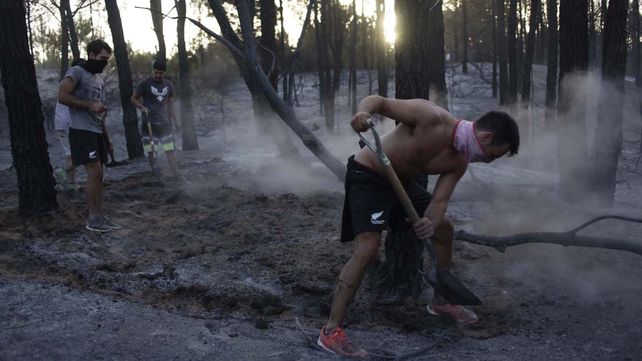 Aseguran que está controlado el voraz incendio en los bosques de Valeria del Mar