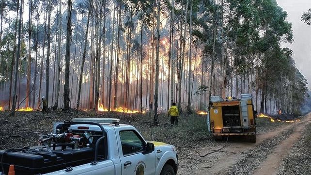 Desde el miércoles trabajan las dotaciones en Calabacilla