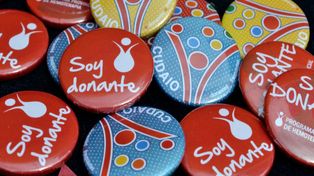 Con diversas actividades se conmemorará el Día Nacional de la Donación de Órganos y Tejidos