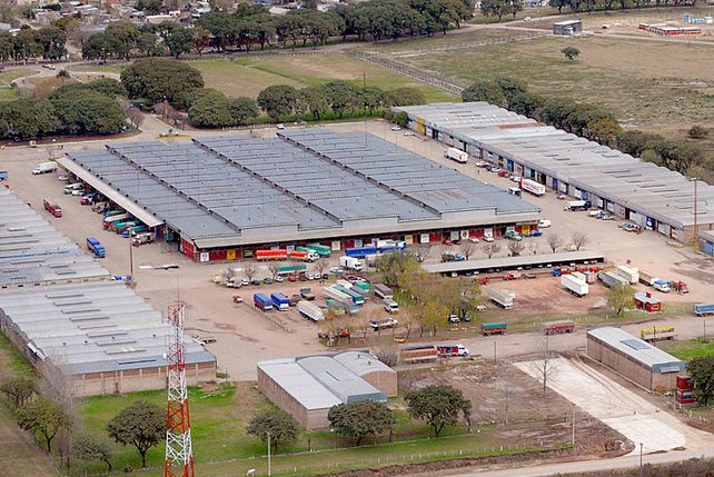 Los quinteros del Mercado de Santa Fe están en estado de alerta