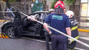 Marta Minujin protagonizó un siniestro vial en la ciudad de Buenos Aires.