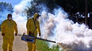 Salud confirmó 130 casos de dengue en la provincia de Santa Fe