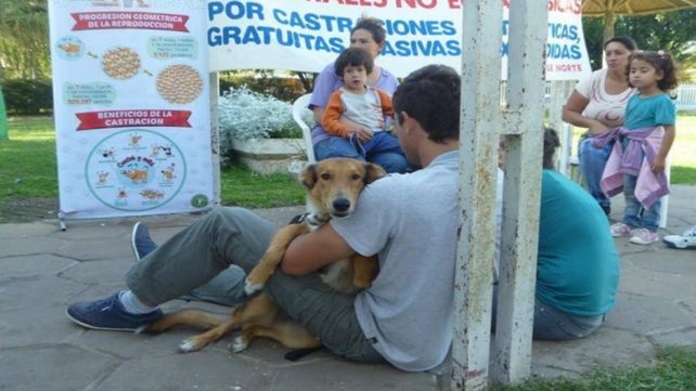 Integral. Además del cuidado de las mascotas