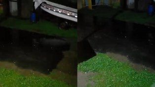 El sur entrerriano se vio afectado por lluvias intermitentes y caída de granizo. Bomberos Voluntarios de Ceibas enviaron imágenes a UNO