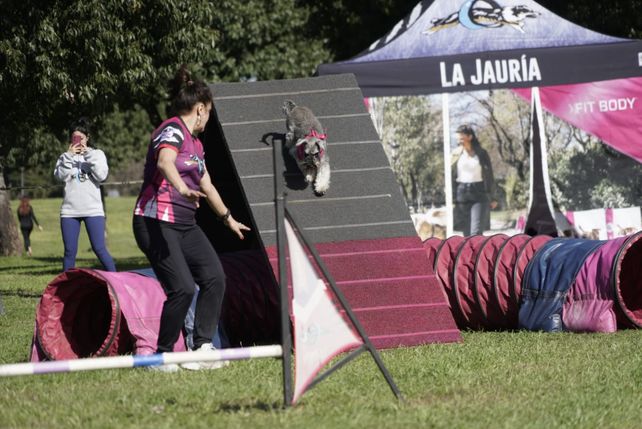 Una caminata con garra: familias enteras y sus mascotas se sumaron al Mascotón