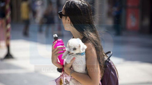 El calor protagonista en el arranque de año.