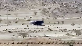 No se sabe si es real, pero seguro es viral: video de ET y OVNI en Arabia Saudita