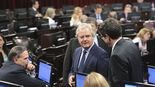 El Senado convirtió en ley la Declaración de Emergencia Social