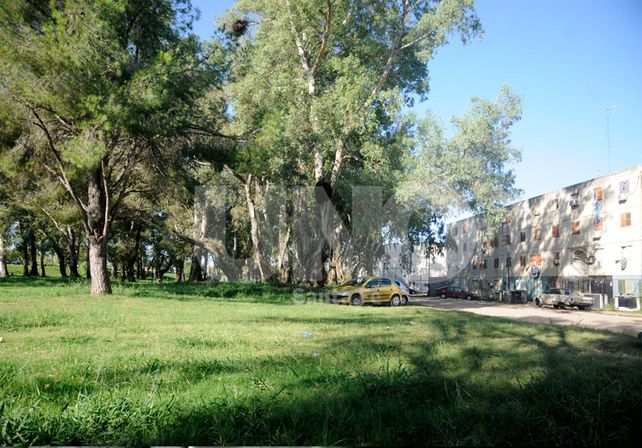 La sede. El sueño de los vecinos que impulsan la idea es hacerla en el predio conocido como eucaliptal. UNO de Santa Fe/José Busiemi