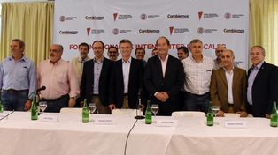 La UCR propuso que el Gobierno subsidie el aumento del gas