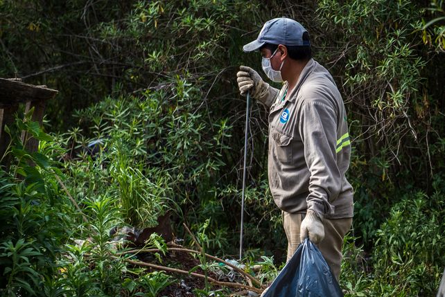 Se requiere a los voluntarios que asistan a la jornada de limpieza a llevar guantes y bolsas para recolectar