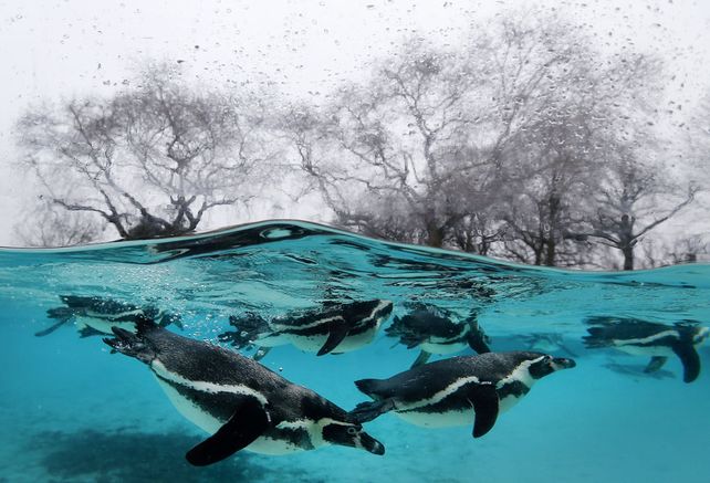 (Foto AP / Kirsty Wigglesworth)