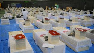 Jap&oacute;n: detr&aacute;s de la crisis nuclear surge la cat&aacute;strofe humanitaria