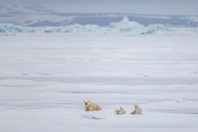Foto. Gentileza CGTN en Español.