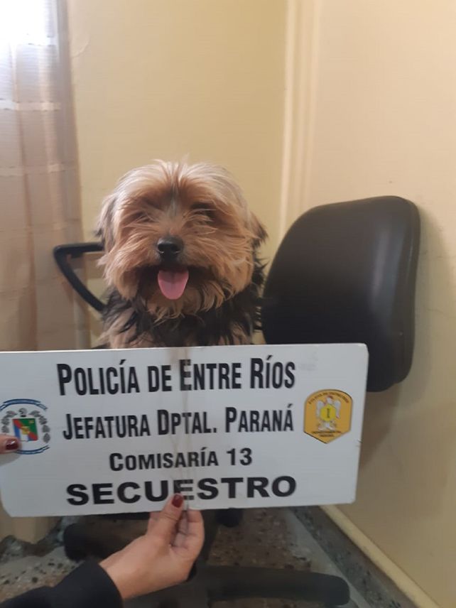 Se investiga el robo del animalito
