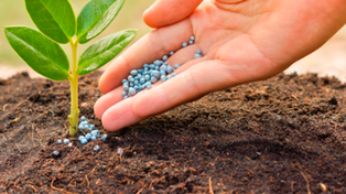 Los precios de los fertilizantes comenzaron a frenar su crecimiento.&nbsp;