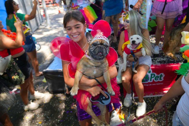 El bloco del Carnaval de Río de Janeiro donde las estrellas son los perros