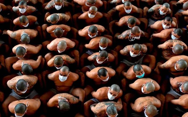 Las mejores fotos del 2020 de la agencia periodística AFP