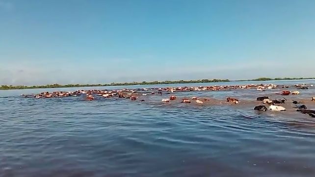 La Provincia coordina acciones con municipios ante el impacto fluvial de El Niño. La Provincia coordina acciones con municipios ante el impacto fluvial de El Niño.