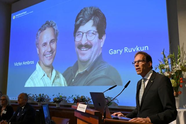 Este lunes se anunciaron los ganadores del Nobel de Medicina. Fue para dos estadounidenses&nbsp;