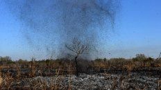Miles de hectáreas en todo el Delta del Paraná sufrieron las consecuencias de las quemas indiscriminadas. Miles de hectáreas en todo el Delta del Paraná sufrieron las consecuencias de las quemas indiscriminadas.