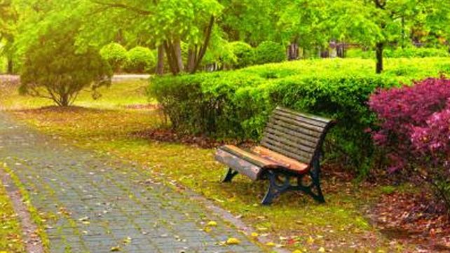Barrios más verdes para combatir la delincuencia Barrios más verdes para combatir la delincuencia