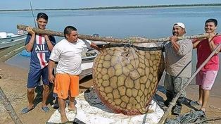 Posaron con una raya de 150 kilos