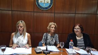 Sacnun: La despenalización del aborto debe culminar una serie de políticas públicas
